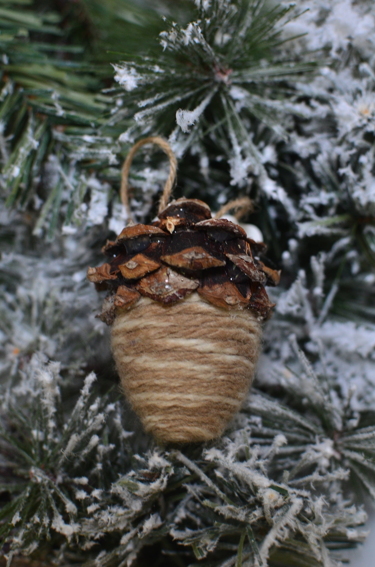 Pinecone Acorn