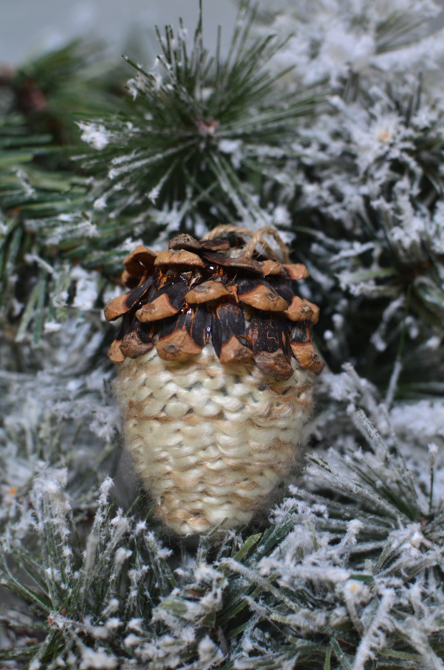 Pinecone Acorn