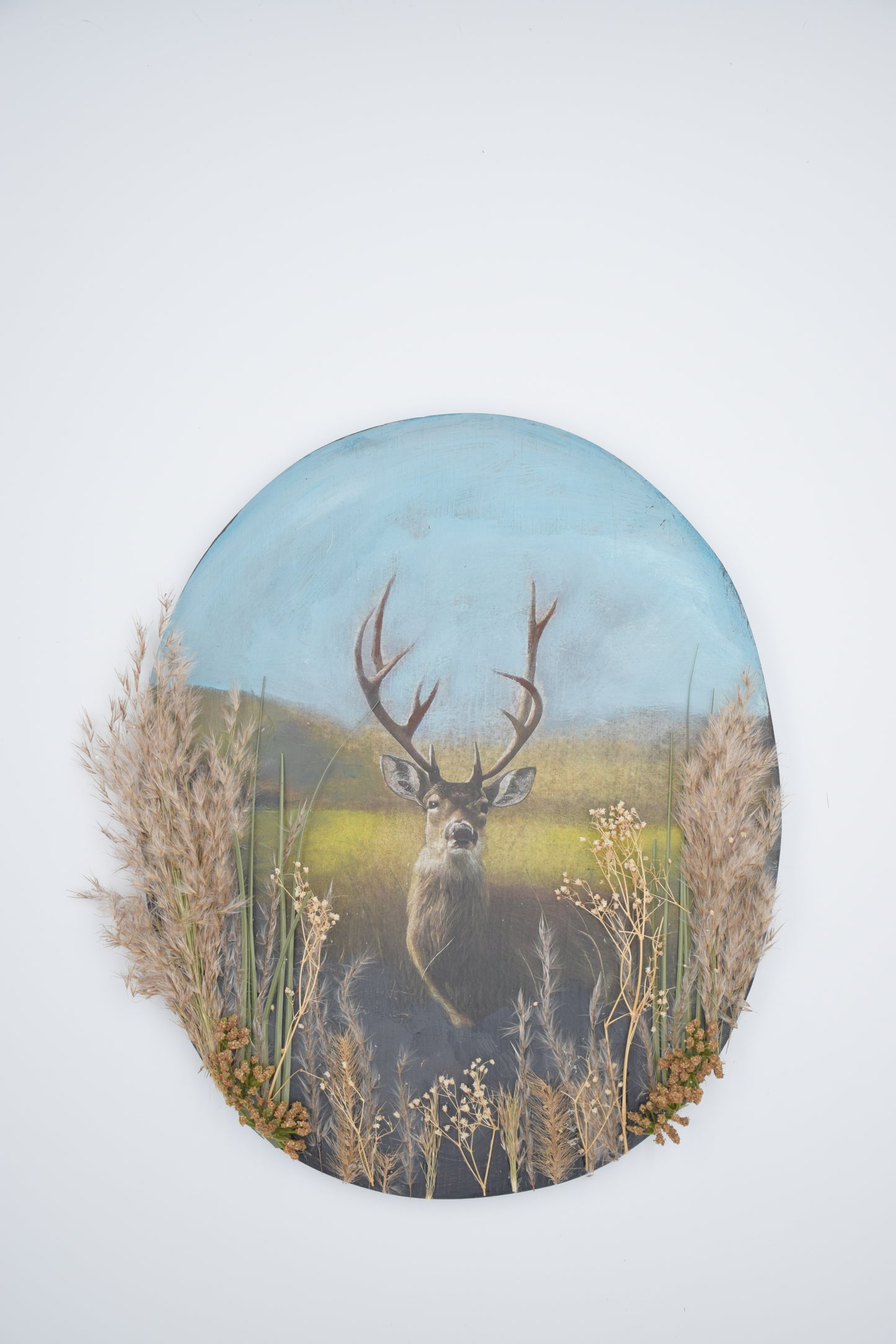 Field of Deer